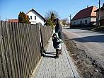 Třibřichy